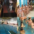 Wie die Wasserratten